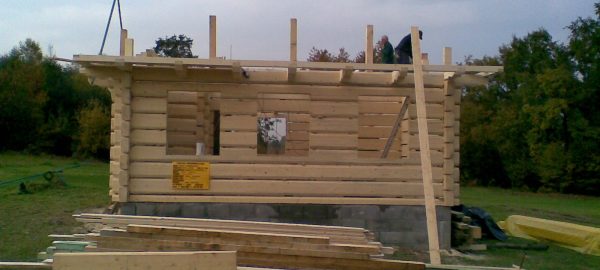 Budowa domów drewnianych i szkieletowych